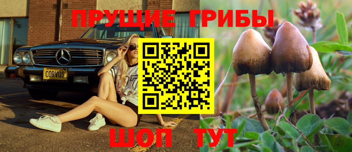 Галлюциногенные грибы Cubensis  купить наркоту  Зеленодольск  Вход с VPN 