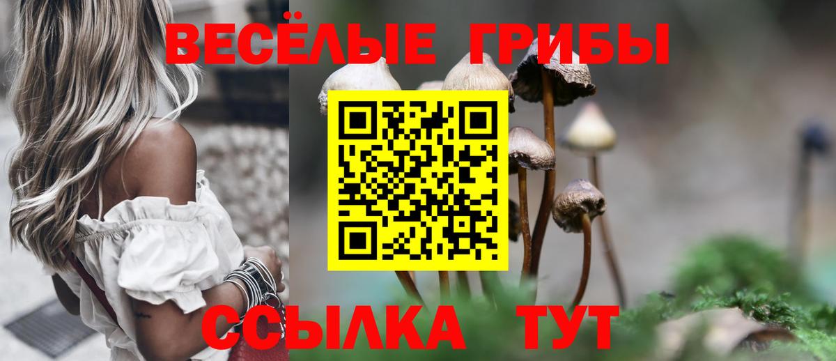 Псилоцибиновые грибы Magic Shrooms Зеленодольск