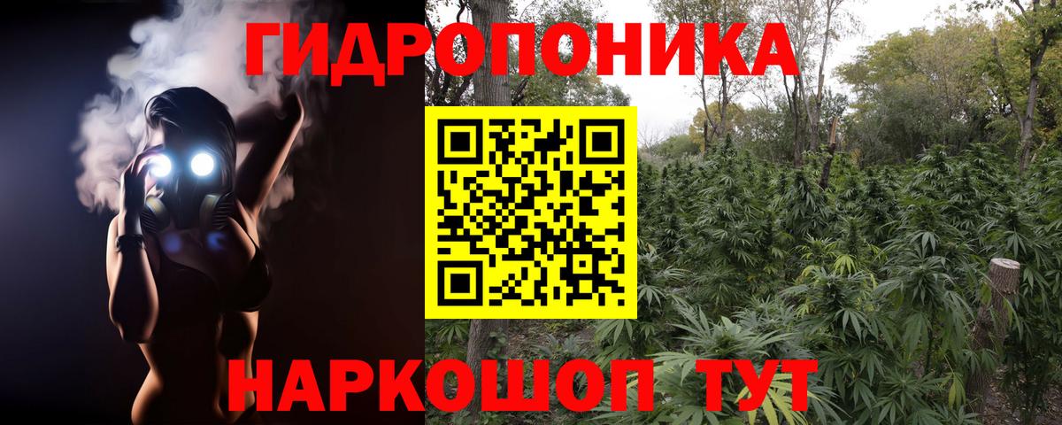 Каннабис Amnesia  Шишки марихуана планчик  Канабис план  Зеленодольск  Вход с VPN  Бошки Шишки OG Kush 